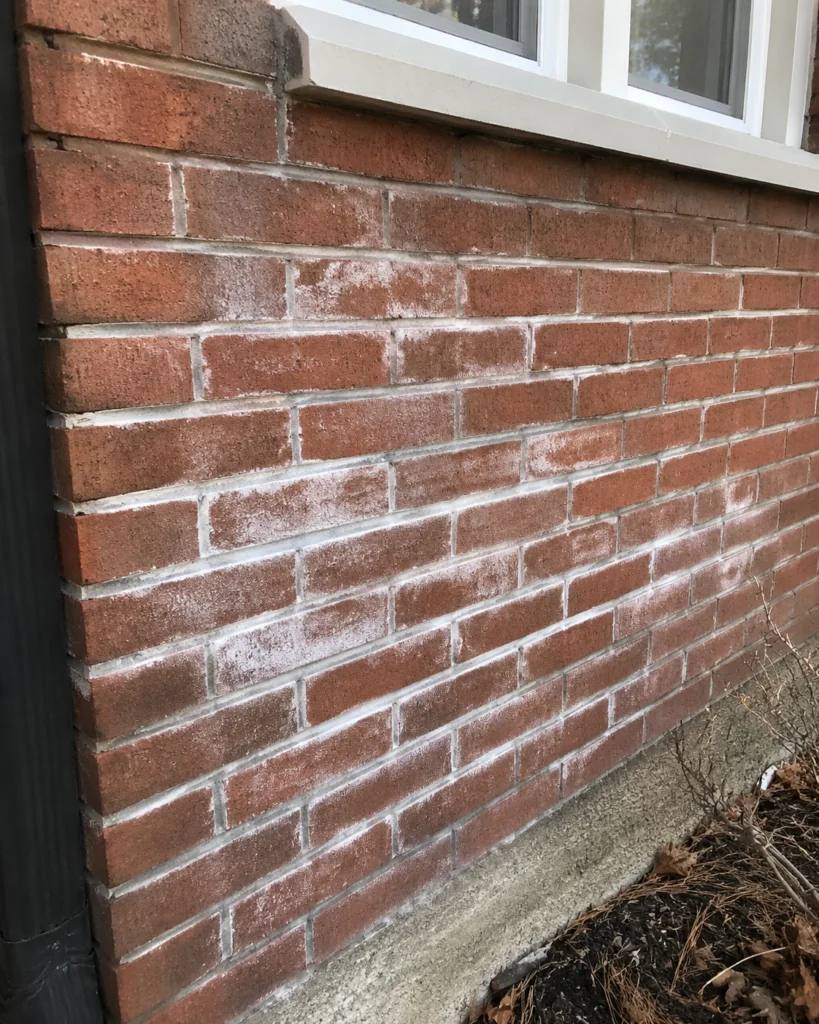 Brick restoration project in Dublin — photo 22