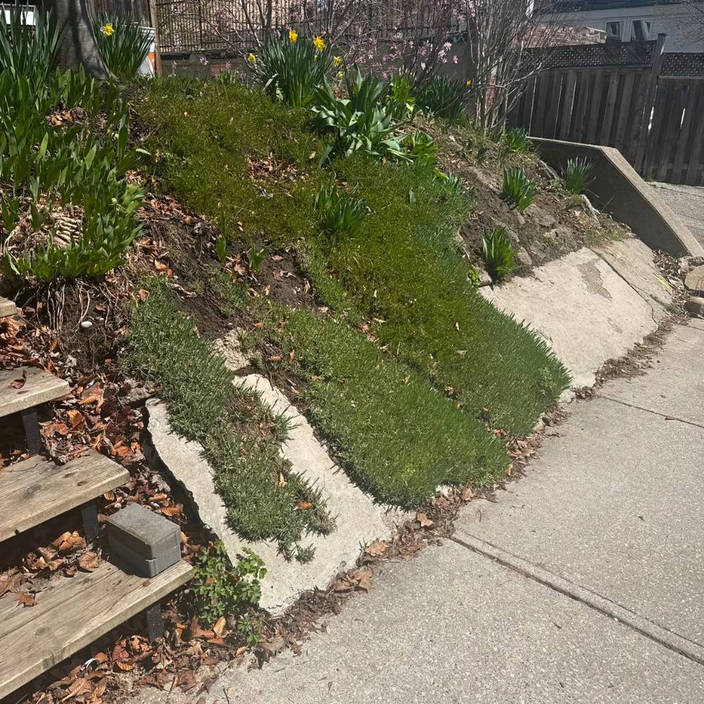 Brick restoration project in Dublin — photo 45